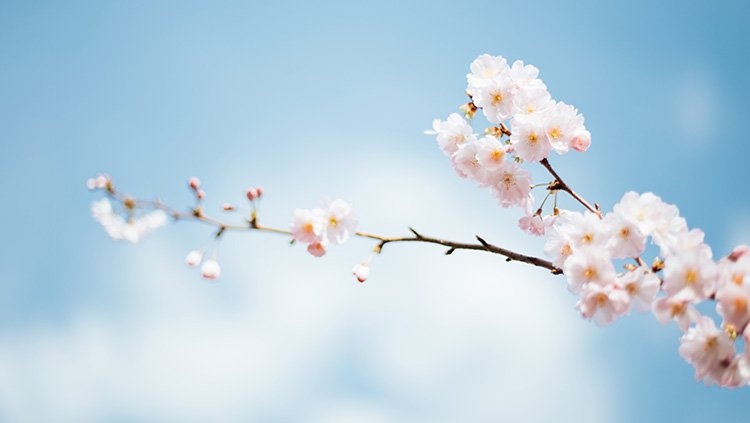 5197官网|中国有限公司-Baidu百科NO.1