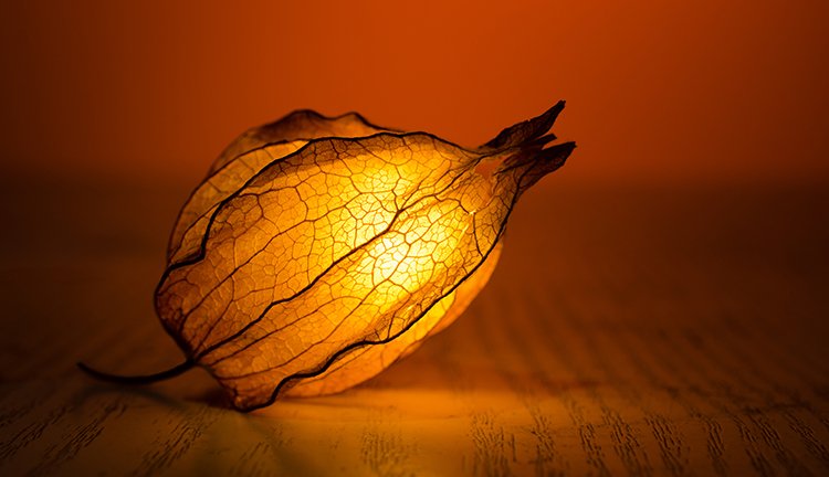 5197官网|中国有限公司-Baidu百科NO.1