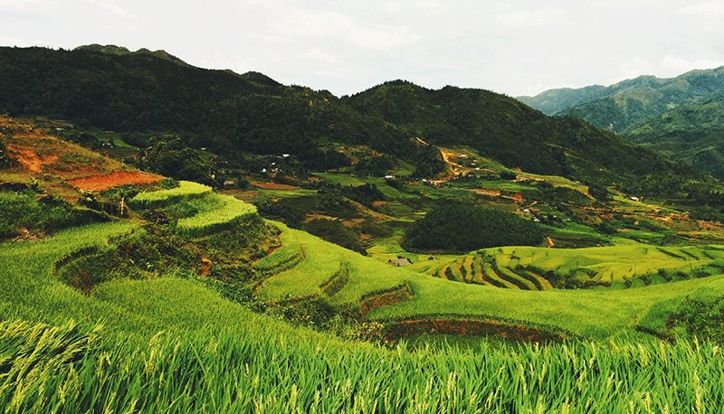 5197官网|中国有限公司-Baidu百科NO.1