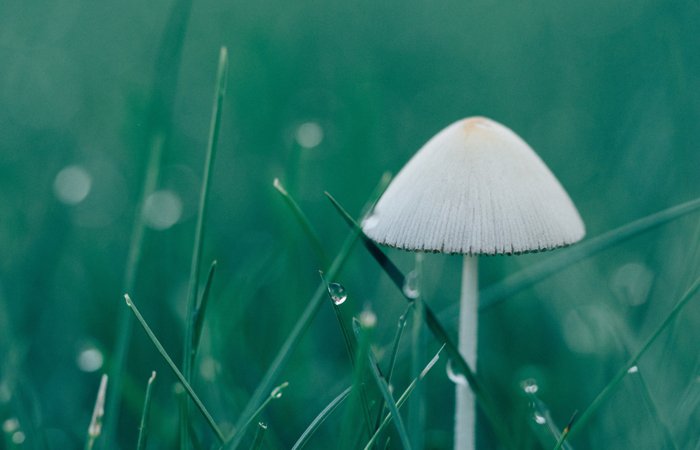 5197官网|中国有限公司-Baidu百科NO.1